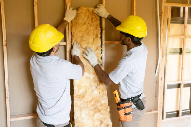 Best Wall Insulation Contractor  in Grand Point, LA
