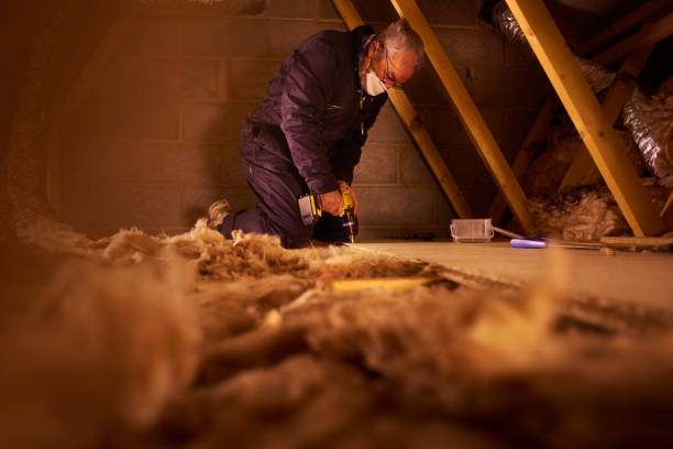 Best Insulation Replacement Services  in Grand Point, LA
